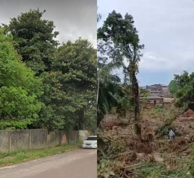 Imagem - Moradores denunciam crime ambiental em área de preservação permanente no Residencial Mururé, em Belém