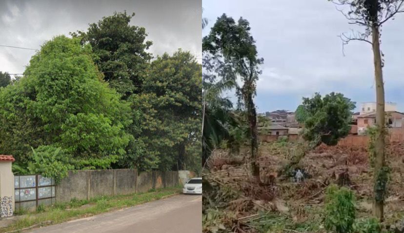 Antes e depois do crime ambiental