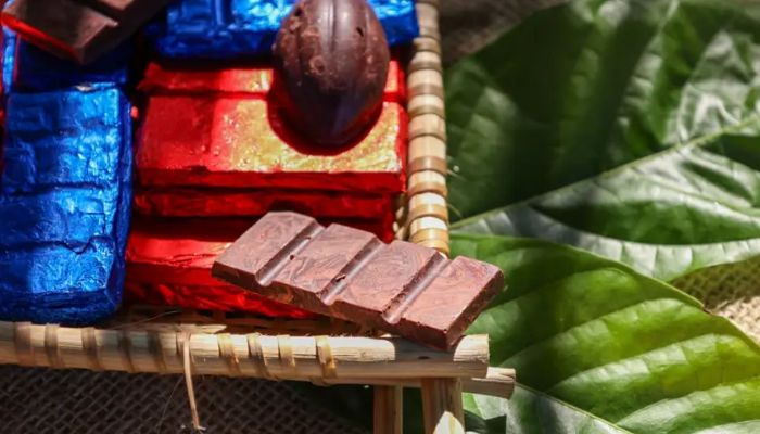 Imagem - Cacau paraense com sabor de ciência será destaque no Chocolat Amazônia 2025