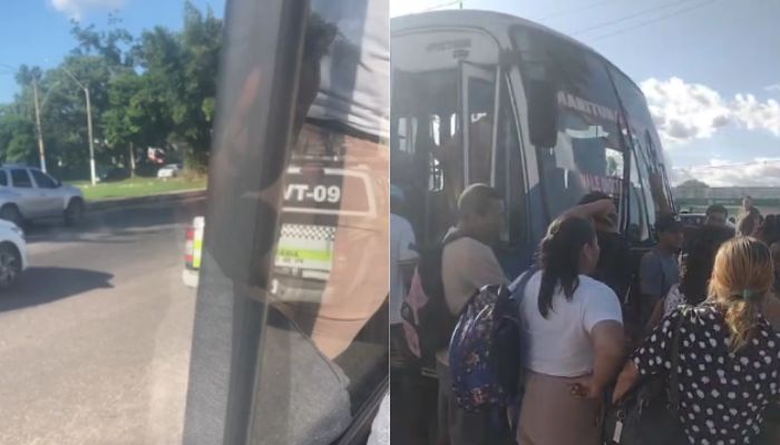 Imagem - Ônibus da linha Santa Bárbara – São Brás é apreendido durante fiscalização na BR-316
