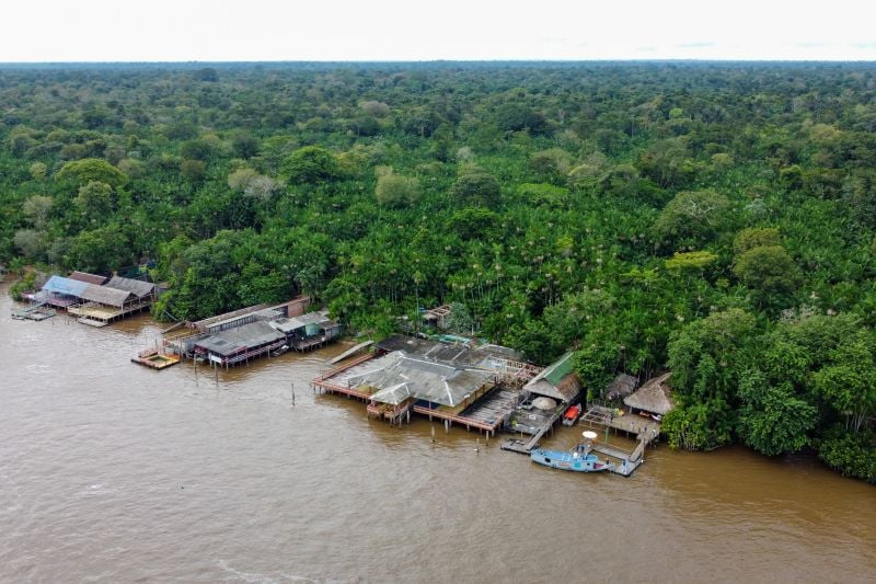 Imagem - Ilha do Combú é reconhecida como patrimônio cultural e imaterial do Pará