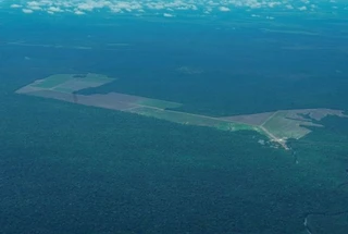 Pará reduz alertas de desmatamento em 19% nos primeiros dias de maio
