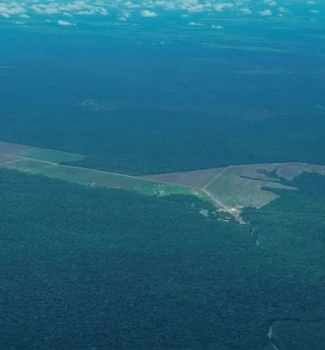 Imagem - Pará reduz alertas de desmatamento em 19% nos primeiros dias de maio