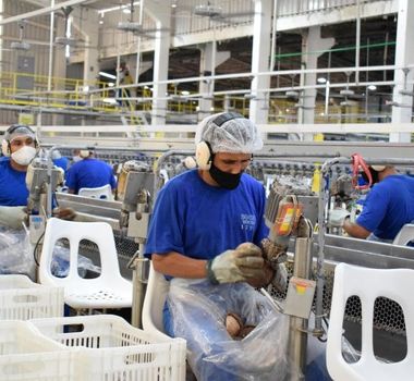 Imagem - Pará lidera geração de empregos no Norte e cria mais de 5 mil vagas em abril
