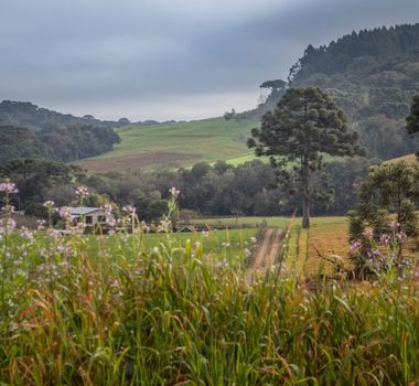 Imagem - 6 destinos para curtir o frio no Brasil