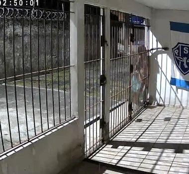 Imagem - Flagra inusitado: mulher é filmada roubando bandeira do Paysandu em Belém