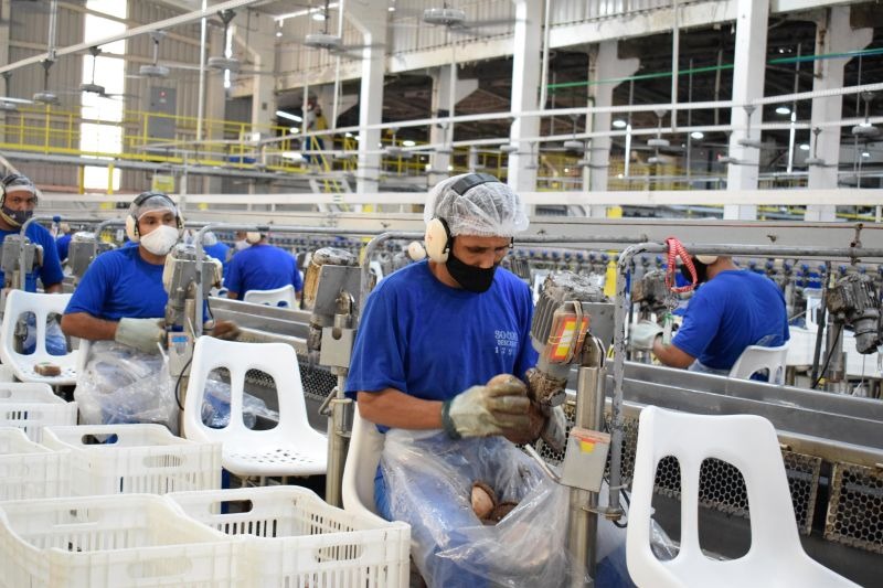 Com isso, o estado soma 1.002.231 empregos formais e segue na liderança da Região Norte.