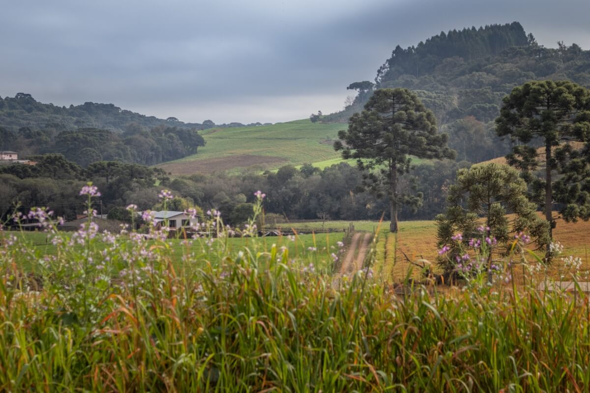 O Brasil tem diversas opções de destinos encantadores e aconchegantes para aproveitar o inverno (Imagem: lucasgamaral | Shutterstock) 