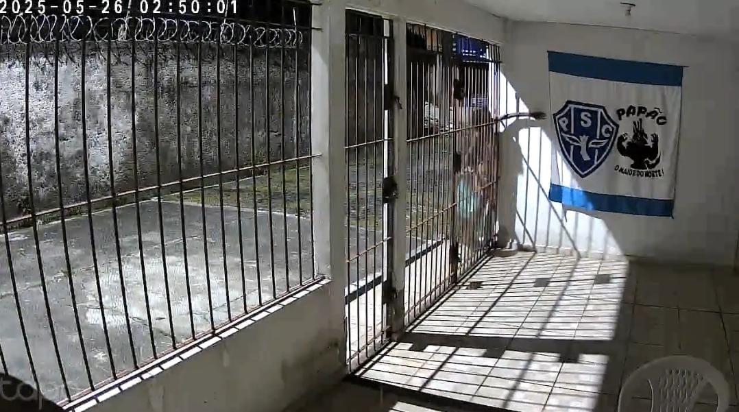 Imagem - Flagra inusitado: mulher é filmada roubando bandeira do Paysandu em Belém