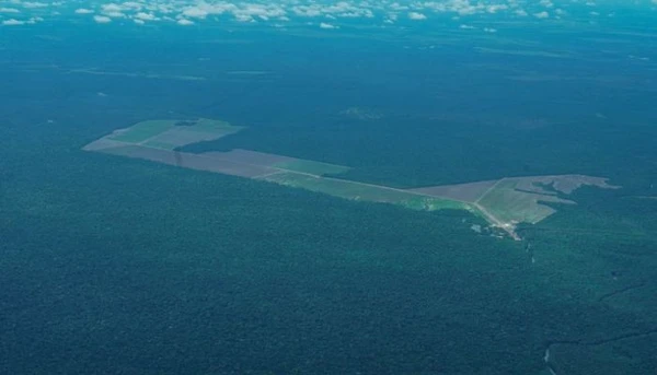 Pará reduz alertas de desmatamento em 19% nos primeiros dias de maio