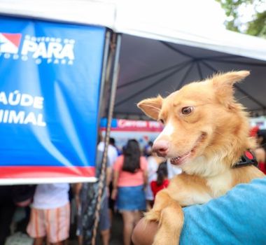 Imagem - Belém recebe ação com serviços gratuitos para pets neste domingo na Praça da República