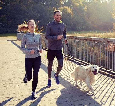 Imagem - 7 atividades físicas para praticar com o cachorro 