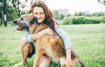 6 dicas de como agir ao resgatar um animal abandonado
