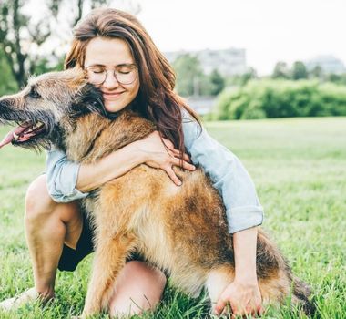 Imagem - 6 dicas de como agir ao resgatar um animal abandonado