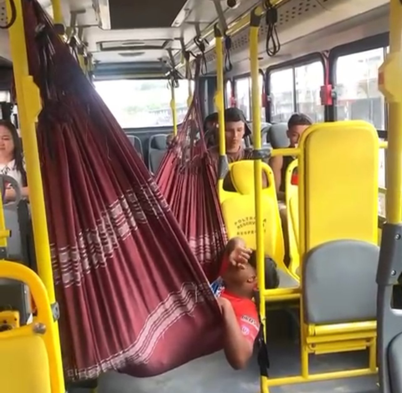 Reprodução 