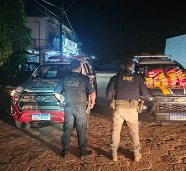 Imagem - PRF apreende mais de 35 kg de skunk escondidos em fundo falso de veículo na BR-230, no Pará