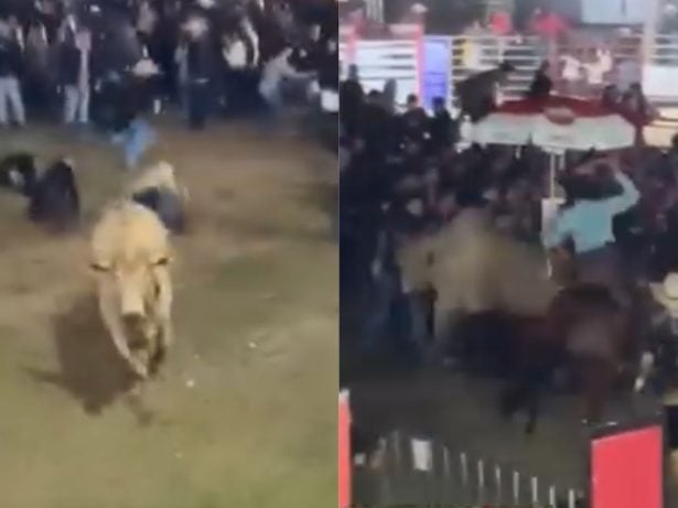 Touro escapa de arena e parte pra cima do público em evento de rodeio