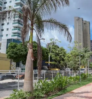 Imagem - Nova Doca ganha mais um trecho aberto ao público com espaço de lazer, paisagismo e obras de saneamento