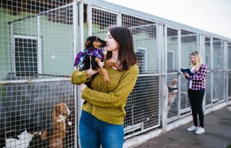 7 meios de adotar um animal de estimação