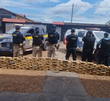 Imagem - PRF e PM apreendem mais de 200 kg de maconha escondidos em fundo falso de caminhão, em Anapu, no Pará