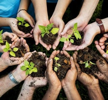 Imagem - 30 atitudes simples para preservar o meio ambiente