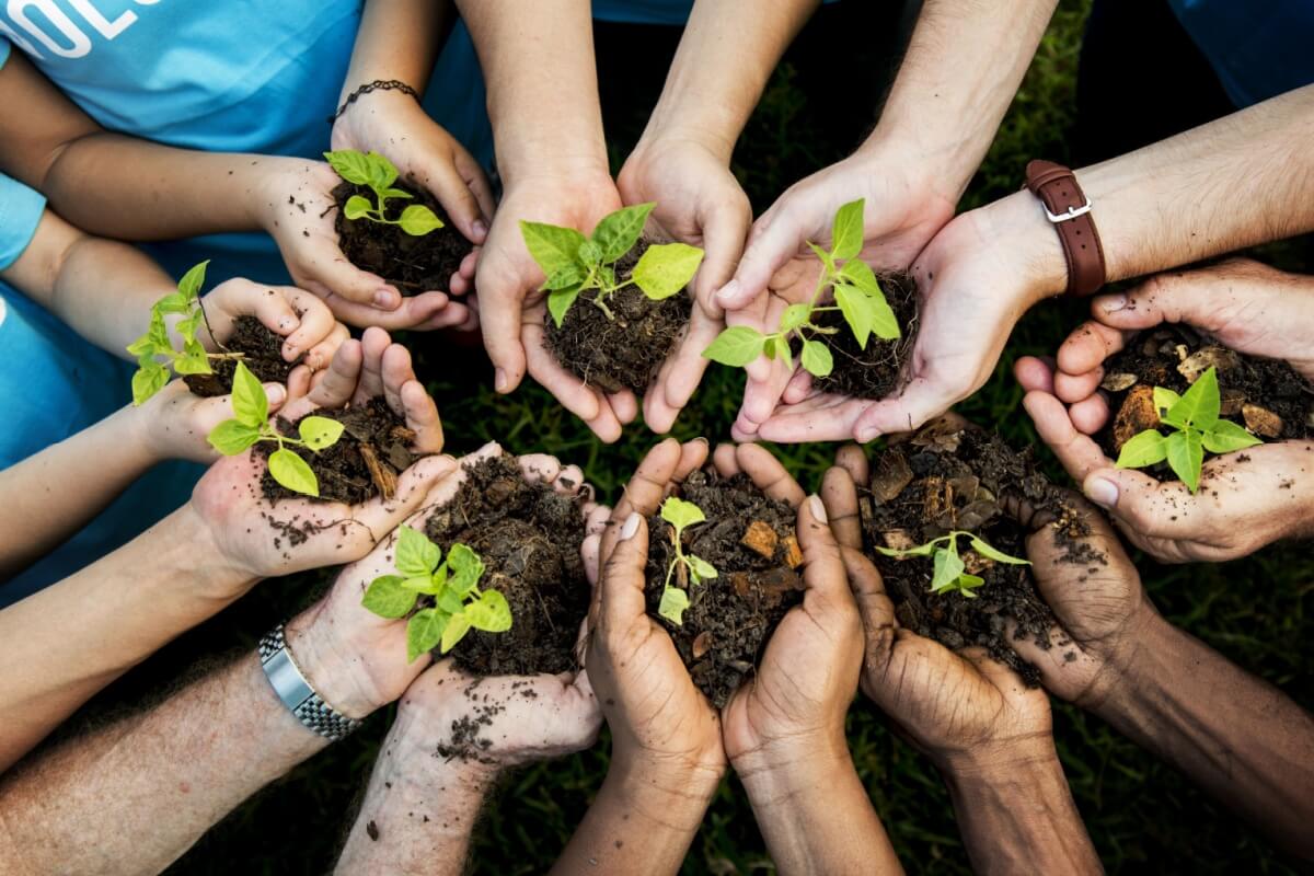 Atitudes simples no dia a dia ajudam a preservar o meio ambiente (Imagem: Rawpixel.com | Shutterstock) 