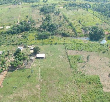 Imagem - BNDES recusou R$ 806 milhões em créditos a donos de terra que desmatam