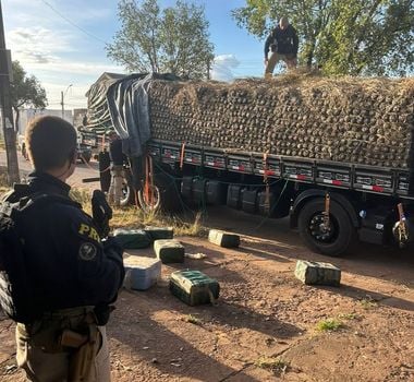 Imagem - PRF apreende quase meia tonelada de cocaína em caminhão carregado com abacaxi, em Pau D’Arco, no Pará