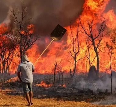 Imagem - Alckmin sanciona lei de combate às queimadas irregulares e desastres climáticos