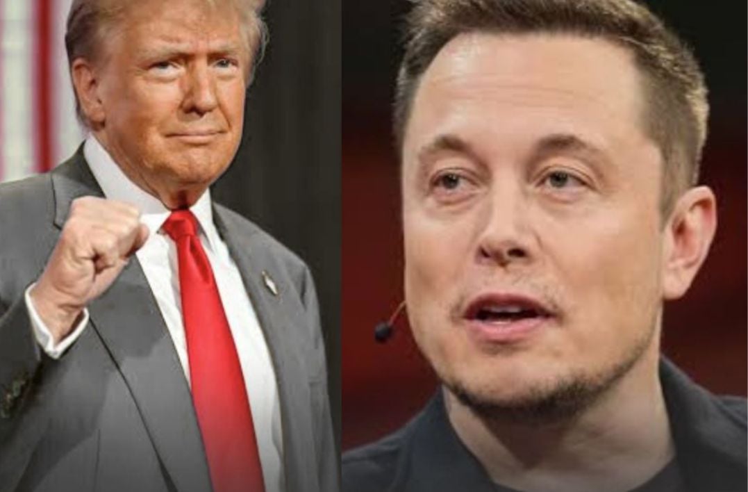 (Donald Trump, presidente dos Estados Unidos e o bilionário, Elon Musk)