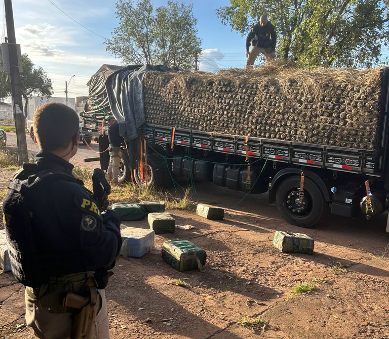 Imagem - PRF apreende quase meia tonelada de cocaína em caminhão carregado com abacaxi, em Pau D’Arco, no Pará