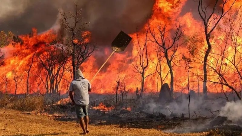 Incêndio no Parque Nacional de Brasília.