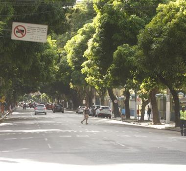 Imagem - Belém vai plantar 200 mil mudas de árvores no ano da COP 30