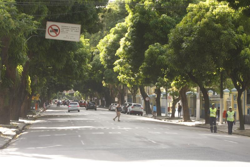 Capital paraense deverá receber mais arborização