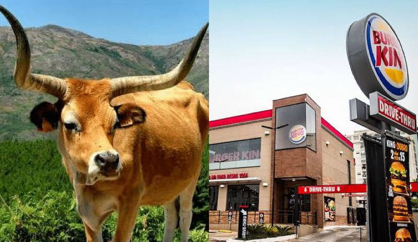 Imagem - Promoção em rede de fast food premia 'cornos' com lanche grátis e exige testemunha do chifre; saiba quando começa