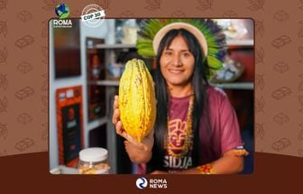 Do cacau à resistência: chocolate sustentável transforma a vida de indígenas no Médio Xingu