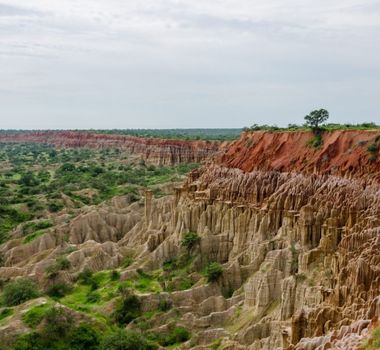 Imagem - 3 destinos exclusivos para explorar a vida selvagem africana