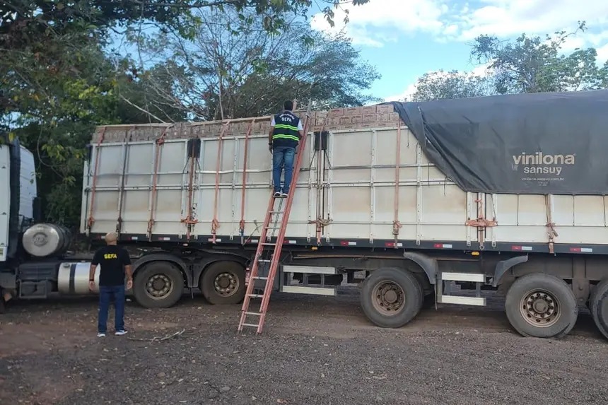 Imagem - Sefa apreende carga com 25 toneladas de açaí e quase 77 mil garrafas de aguardente no Pará