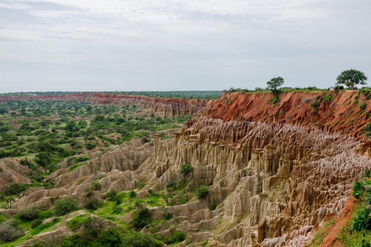 A Angola oferece a oportunidade de observar a vida selvagem de forma única (Imagem: Fabian Plock | Shutterstock)