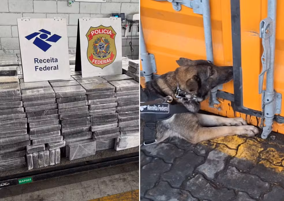 Imagem - Receita apreende mais de 1,5 tonelada de cocaína no Porto de Santos