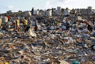 Caso Aurá: funcionário da Ciclus é preso por crime ambiental e perícia confirma descarte irregular