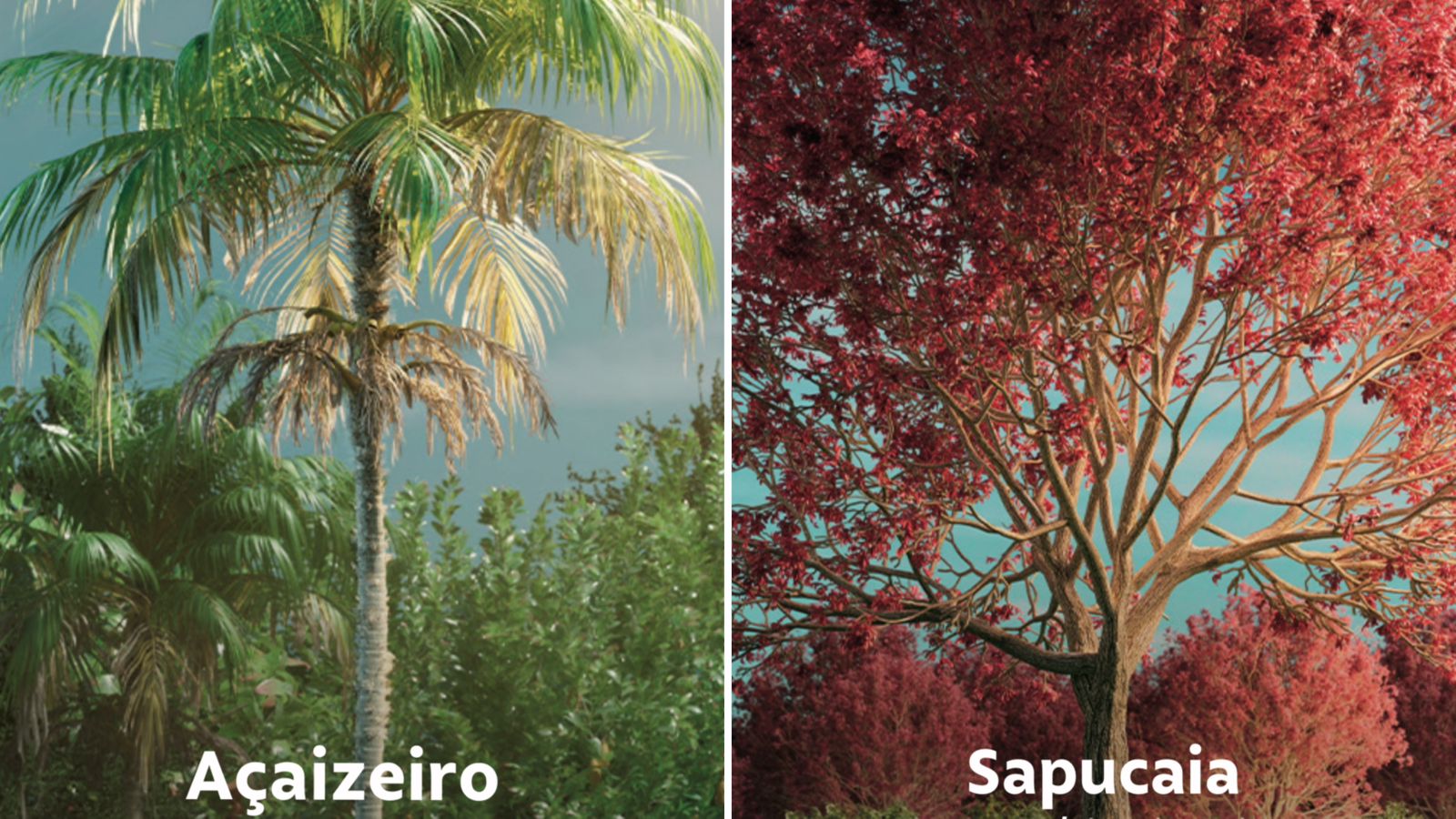 Iniciativa da Vale, álbum e figurinhas dão destaque especial às espécies amazônicas, e serão distribuídos gratuitamente em bairros da periferia de Belém - 