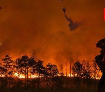 Imagem - Projetos de prevenção no combate a incêndios recebem R$ 32 milhões do governo; confira