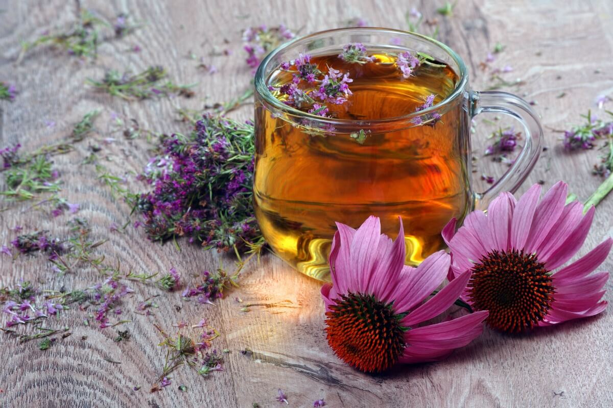 Chá de echinacea com gengibre e limão (Imagem: KRIACHKO OLEKSII | Shutterstock)