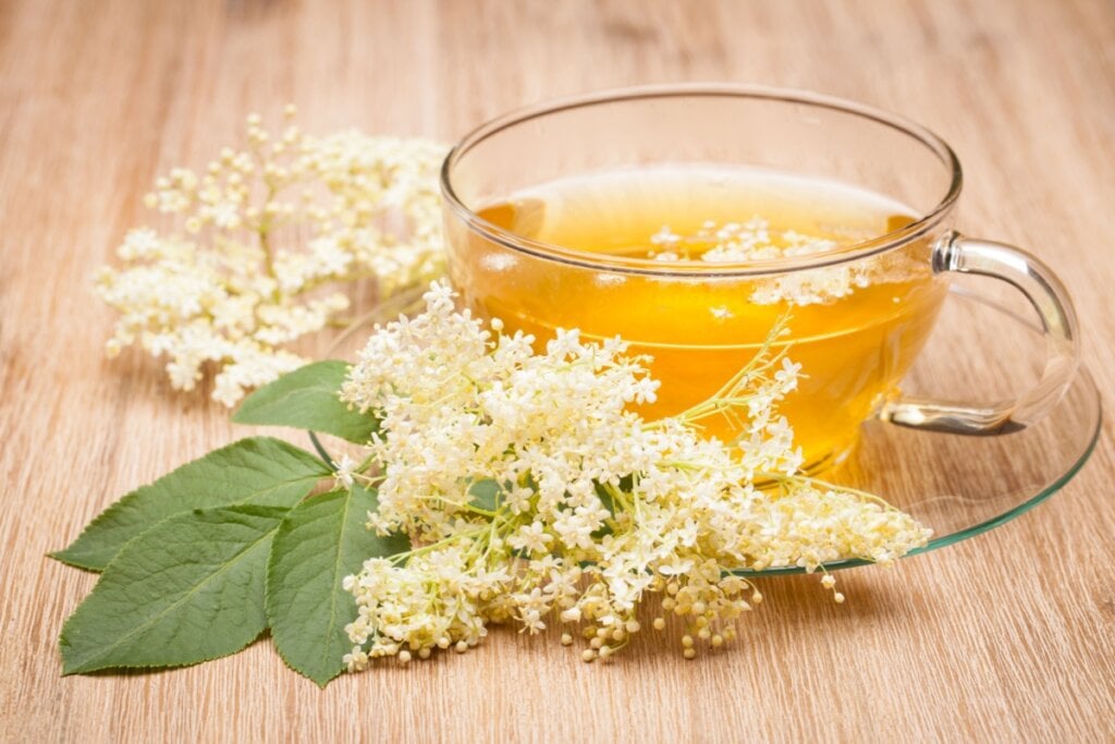 Chá de sabugueiro com hortelã (Imagem: unpict | Shutterstock)