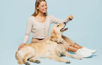 Veja os sintomas e os tratamentos para artrite em animais