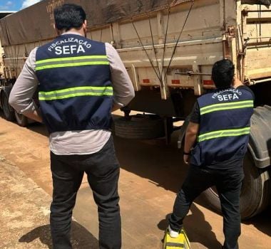 Imagem - Sefa apreende 46 toneladas de soja em Dom Eliseu