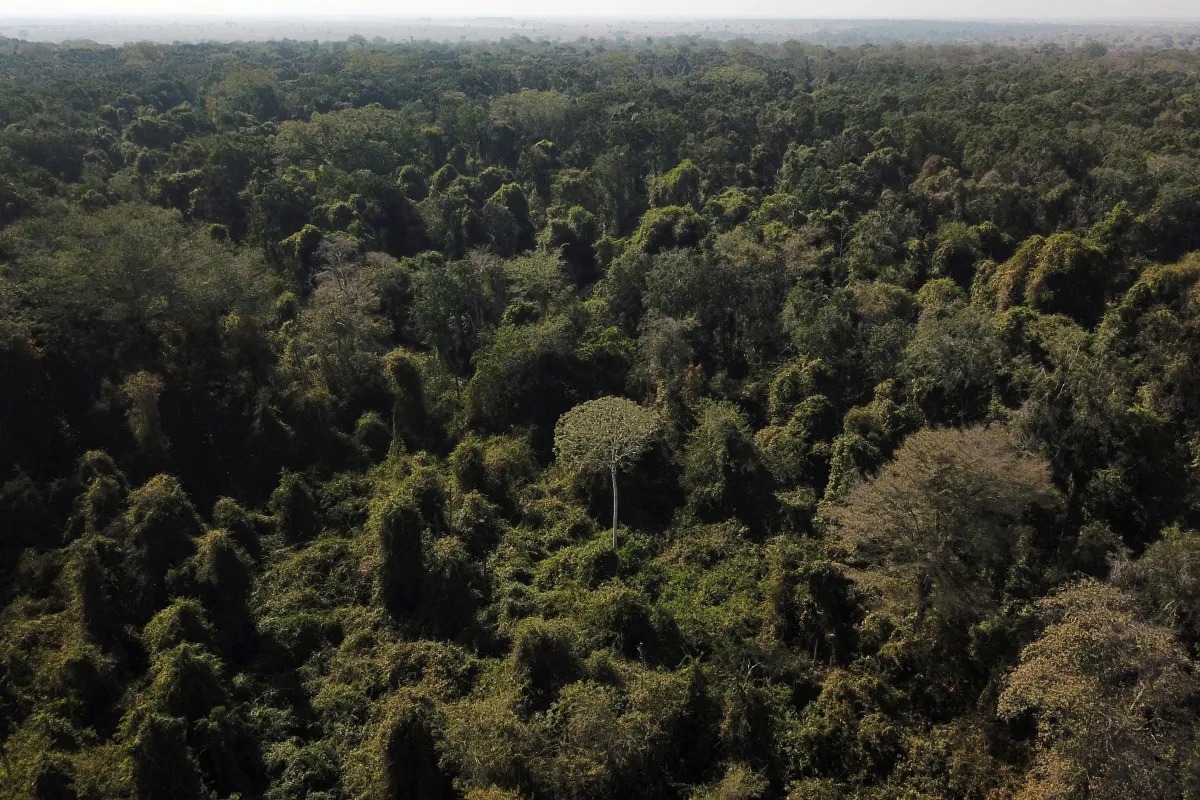 O apoio ao empreendedorismo na Amazônia traz impactos diretos à conservação do bioma.