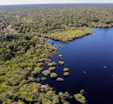 Imagem - Fundo Amazônia bate recorde ao destinar mais de R$ 1 bilhão em 2025