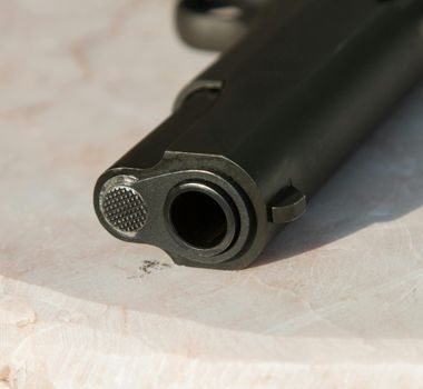 Imagem - Projeto de Lei permite que moradores de áreas rurais tenham arma aos 18 anos; entenda